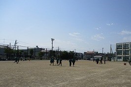 IMG_0669