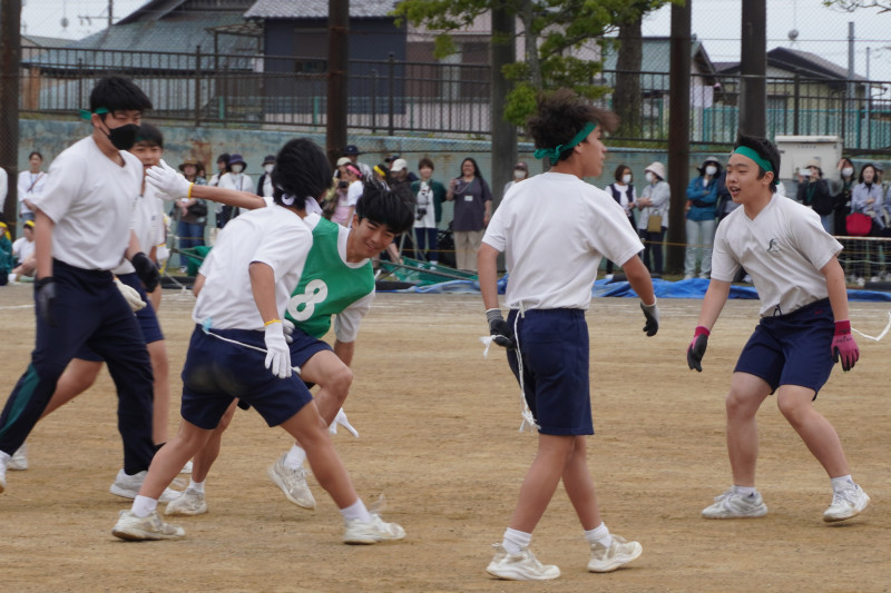しっぽとり８