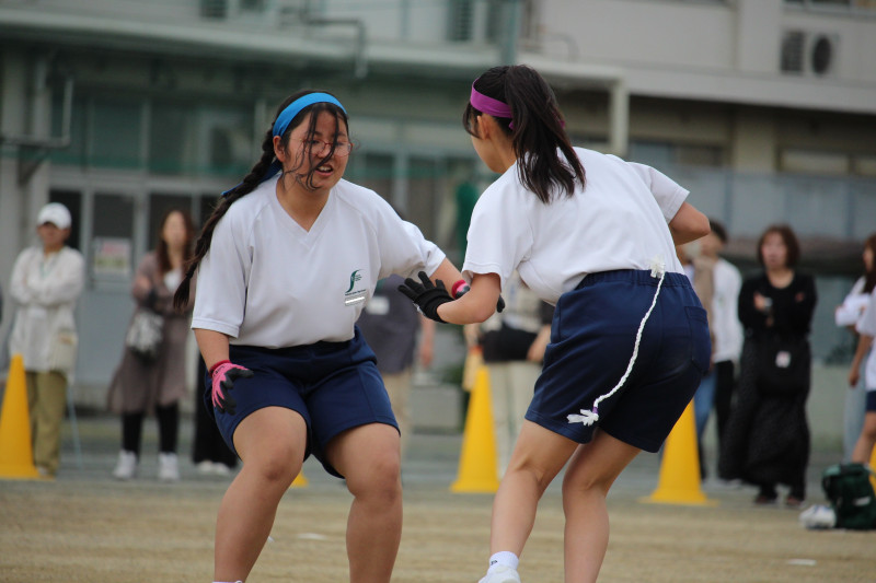 しっぽとり９