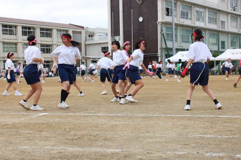 しっぽとり１１